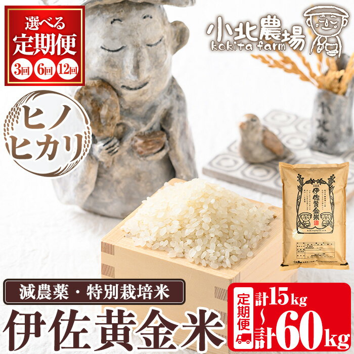 【ふるさと納税】《数量限定・選べる配送回数》令和7年産 小北農場のお米 伊佐黄金米〈ヒノヒカリ〉(5kg×1袋×3回/6回/12回) 鹿児島 伊佐 お米 特別栽培米 伊佐米 白米 ヒノヒカリ ひのひかり ごはん 【小北農場】