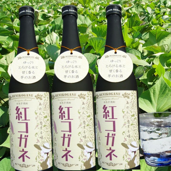 【ふるさと納税】CT-16 【本格芋焼酎】紅コガネ（720ml）×3本