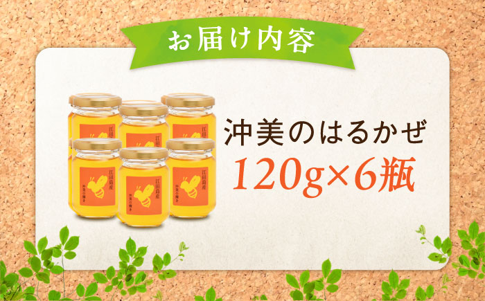 まじりっけなし！江田島産100％!はちみつ『沖美のはるかぜ』120g×6本セット ハチミツ ハニー 蜂蜜 国産 広島県 江田島市/はつはな果蜂園 [XCD005]