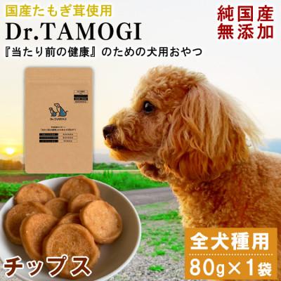 ふるさと納税 あさぎり町 犬用おやつ 「Dr.TAMOGI(チップス) 80g×1袋」純国産