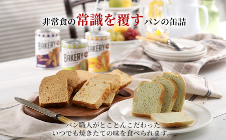 【2024年9月～順次発送】非常食　パン「新・食・缶ベーカリー　缶入りソフトパン・12缶ハーフセット（メロン果汁入り×4/黒糖×4/オレンジ×4）」