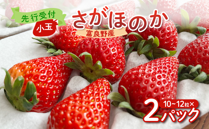 【2026年先行予約】 富良野産 いちご さがほのか 小玉 10～12粒×2パック　［ フルーツ 果物 新鮮 贈り物 ギフト フルーツ 生いちご イチゴ 苺 大粒 甘い 道産 北海道 富良野 ］
