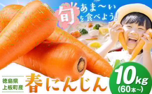 にんじん 人参 春にんじん 10kg 《3月中旬-5月中旬頃出荷》 野菜 青果物 ニンジン 旬 送料無料 徳島県 上板町
