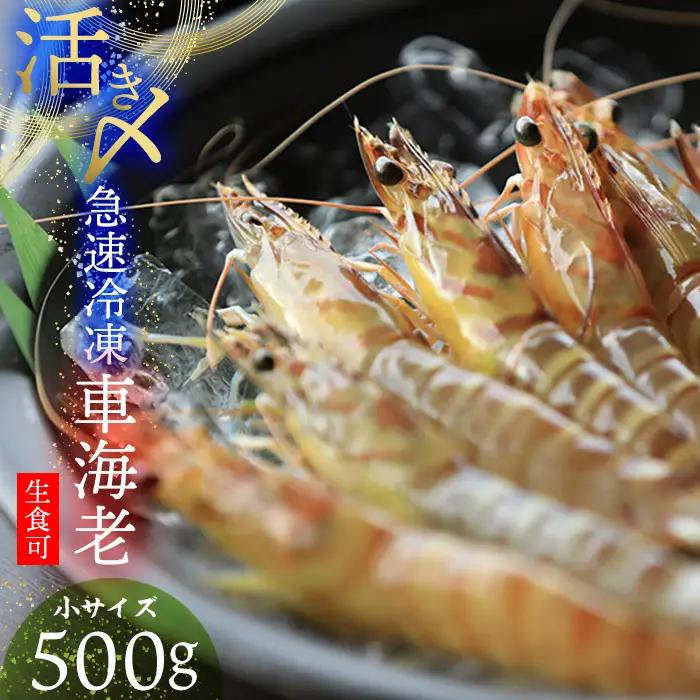 車海老【久米総合開発】活き〆急速冷凍 久米島ブランド車海老 小サイズ 500g 車えび 海鮮