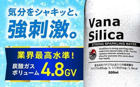 【全3回定期便】【2ヵ月に1回お届け】VanaSilica（バナシリカ）富士山のバナジウム＆シリカ 強炭酸水 500ml 24本 2箱（計48本）炭酸 強炭酸 炭酸水 大阪府高槻市/クリックル株式会社