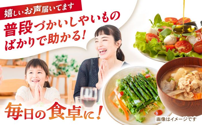 【3回定期便】諫早産野菜の詰め合わせ(8〜9品目程度) / 季節 旬 野菜 春野菜 夏野菜 秋野菜  / 諫早市 / 肥前グローカル株式会社 [AHDI001]