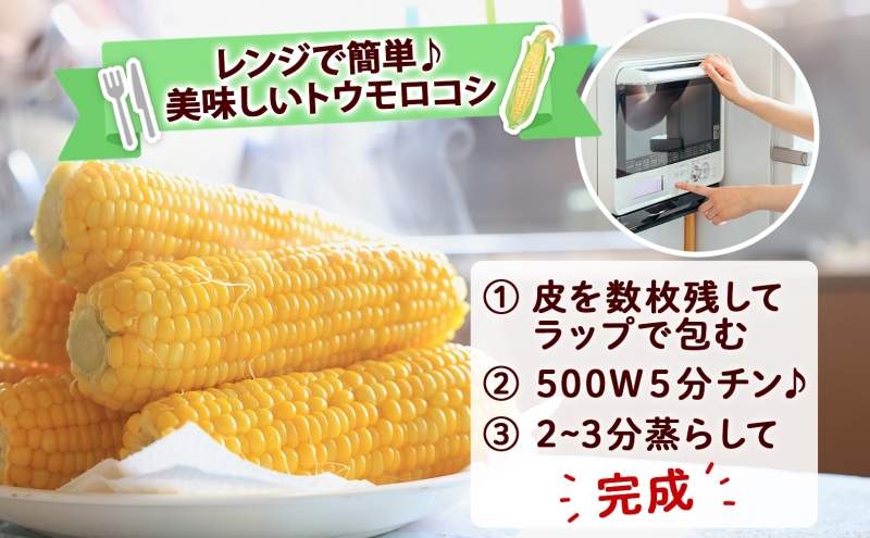 朝もぎ イエロー とうもろこし 恵味 2Lサイズ 26本 約10kg 大きめ 夏野菜 とうきび 旬 新鮮 野菜 トウモロコシ 甘い ギフト 産地直送 コーン 産直 グリーンアースファーム 送料無料 北