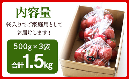 家庭用 野菜ソムリエが育てた フルーツトマト 500g×3袋 合計1.5kg - 野菜 とまと 産地直送 料理 アレンジ サラダ 完熟 甘い あまい フレッシュ さっぱり 酸味 うしの恵 小分け おい