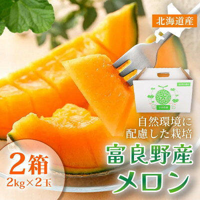 【ふるさと納税】【糖度15度以上赤肉メロン】富良野産 特秀品メロン 2箱(2kg×2玉)北海道富良野市 7～8月発送【1705339】