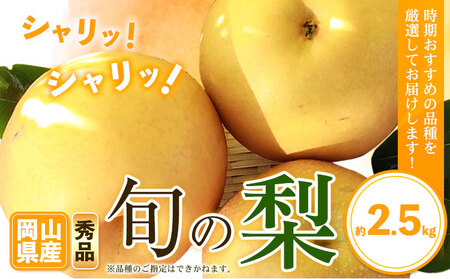 秀品 旬の梨 約2.5kg　なし 梨