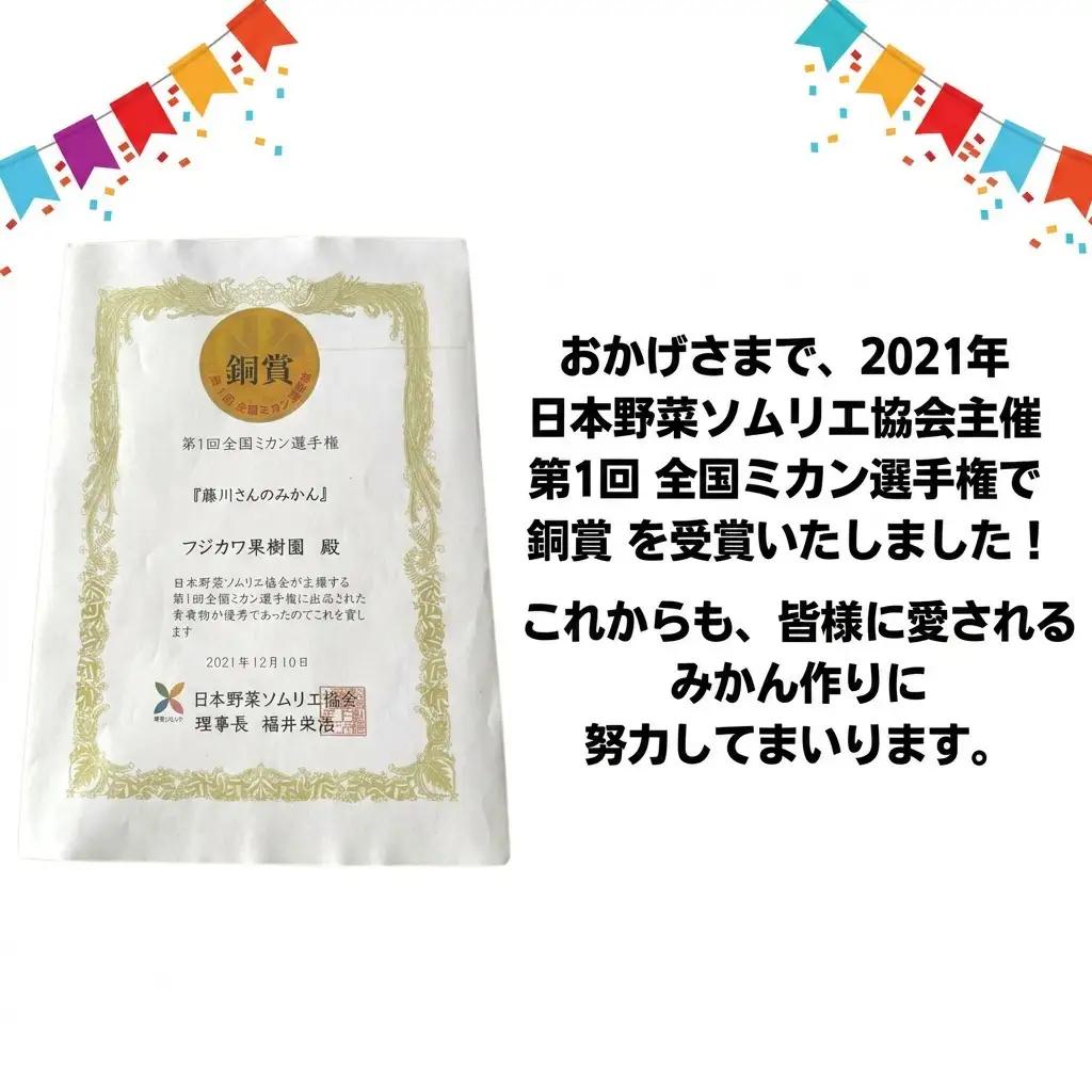 みかん 田口早生みかん 農園直送 柑橘 みかん【約3kg】