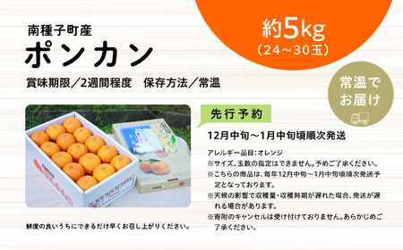 《 先行予約　2025年12月中旬頃〜1月中旬頃順次発送 》 種子島産ポンカン約5kg （24玉～30玉）【南種子町果樹部会】