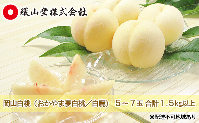 桃 2026年 先行予約 岡山 白桃（品種：おかやま夢白桃／白麗）5～7玉 合計1.5kg以上 もも モモ 岡山県産 国産 フルーツ 果物 ギフト 環山堂 上品 甘み 香り 贈り物 果実 柔らかい 多汁 