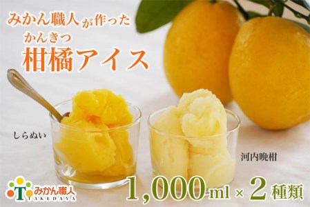 柑橘 アイス 1000ml 2種 アイス 武田屋