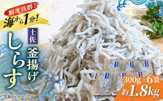 釜揚げしらす 約1.8kg (約300g×6袋) 浜で瞬時に釜出し 高知のしらす 【グレイジア株式会社】 [ATAC081]　シラス 新鮮  国産 魚 海鮮 簡単調理 時短 高知 しらす