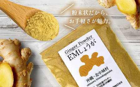 【きたなか荘】しょうがパウダー 40g×4袋 しょうが パウダー ジンジャー しょうが湯 生姜 粉末 調味料 弁当 家庭料理 温かい飲み物 簡単 料理 手軽 お取り寄せ 調味料 安心 安全 おきなわ 