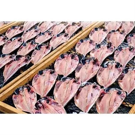 ひもの職人がおススメする「真あじ・さば干物セット」 海の直売所 アルファ_魚介・海産物  干物 _【配送不可地域：離島】【1099388】