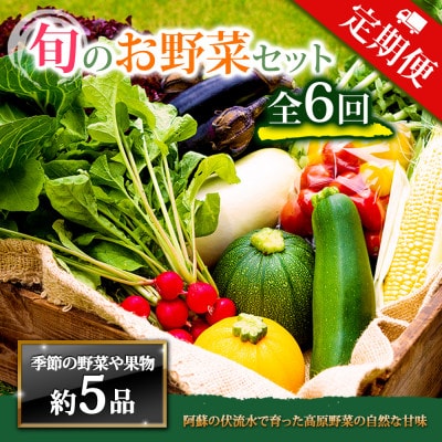 【毎月定期便】季節のお野菜セットMサイズ 旬のお野菜を厳選してお届け全6回【配送不可地域：離島】【4086583】