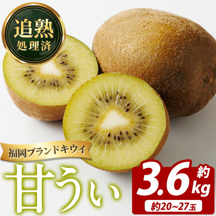 【ふるさと納税】＜先行予約受付中！2026年11月上旬～11月下旬に順次発送予定＞福岡県ブランドキウイ 甘うぃ (約計3.6kg・20～27玉) キウイ キウイフルーツ キュウイ あまうぃ フルーツ 生 国産 果物 くだもの【農産物直売所ほたるの里】