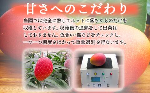 KU325 訳あり 宮崎完熟マンゴー(約2kg・大小混合3～5個) 【やました農園】
