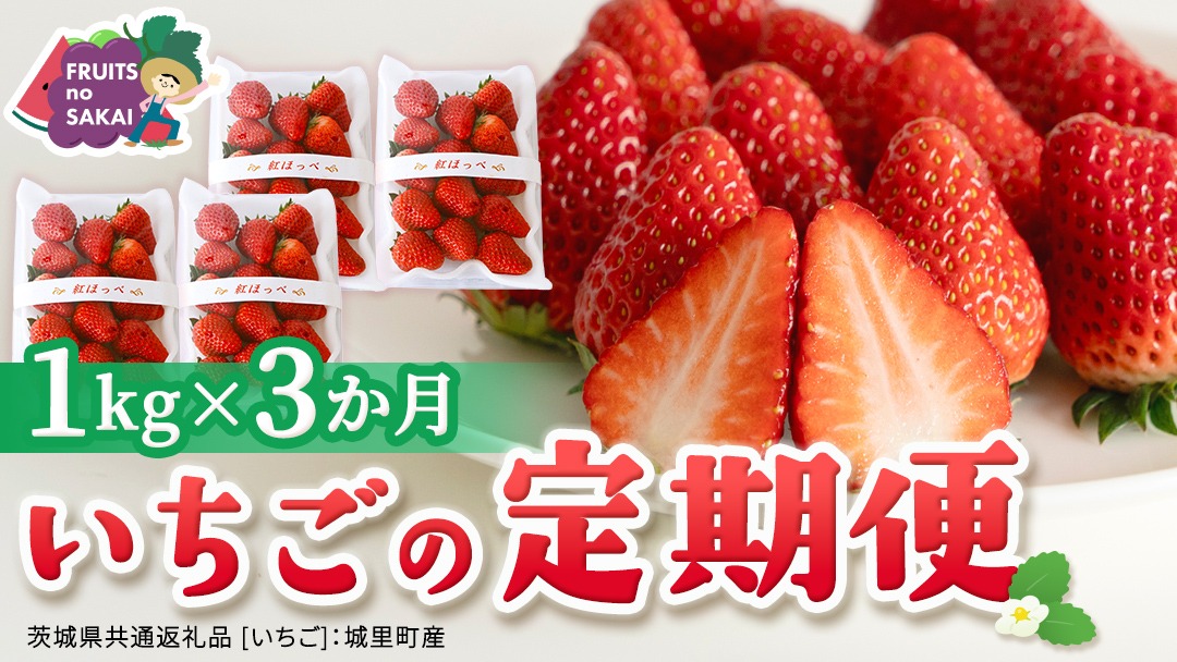 【定期便】いちご3ヶ月連続お届け便 （250g×4パック）×3回　【2027年1月から発送開始】（茨城県共通返礼品 [いちご]：城里町産） | 果物 フルーツ イチゴ 苺 白いちご とちおとめ 紅ほっぺ やよいひめ 定期便
