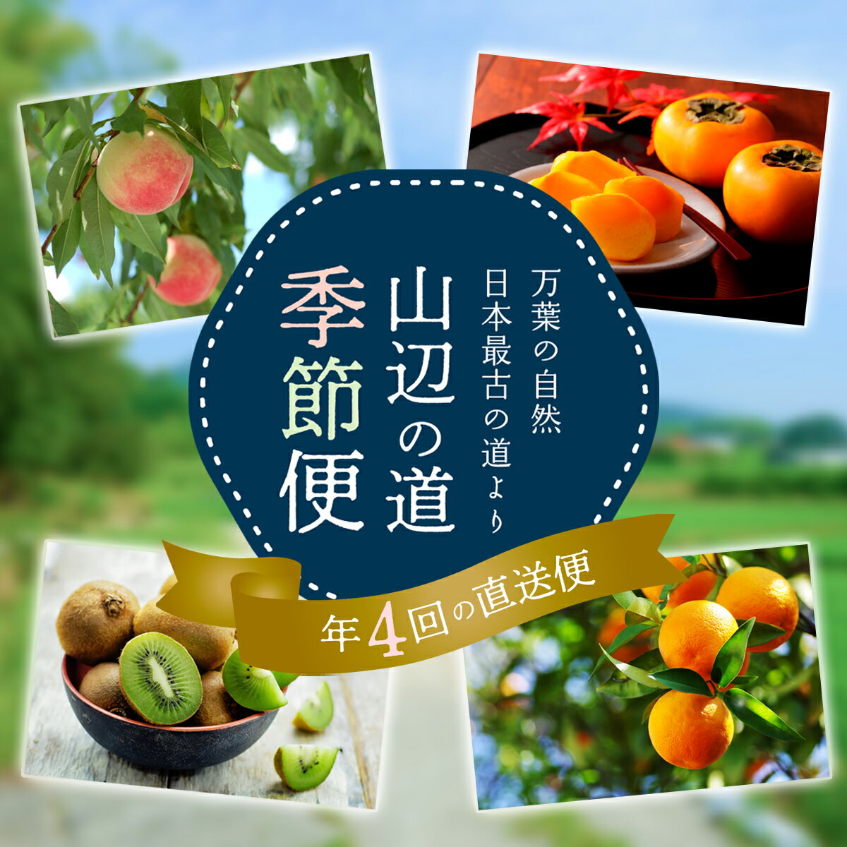 【ふるさと納税】＜年4回 季節の香りをお届け＞ 山の辺の道・季節便 ／奈良 山辺 定期便 果物 くだもの フルーツ 桃 みかん ミカン しらぬい 不知火 でこぽん デコポン 柿 お飾り 葉つき 旬 おまかせ 数量限定 森岡祥章観光農園
