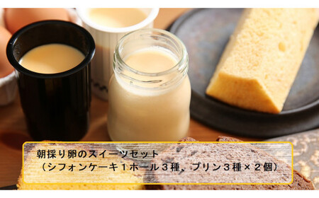シフォンケーキ シフォンケーキ3種 プリン3種）