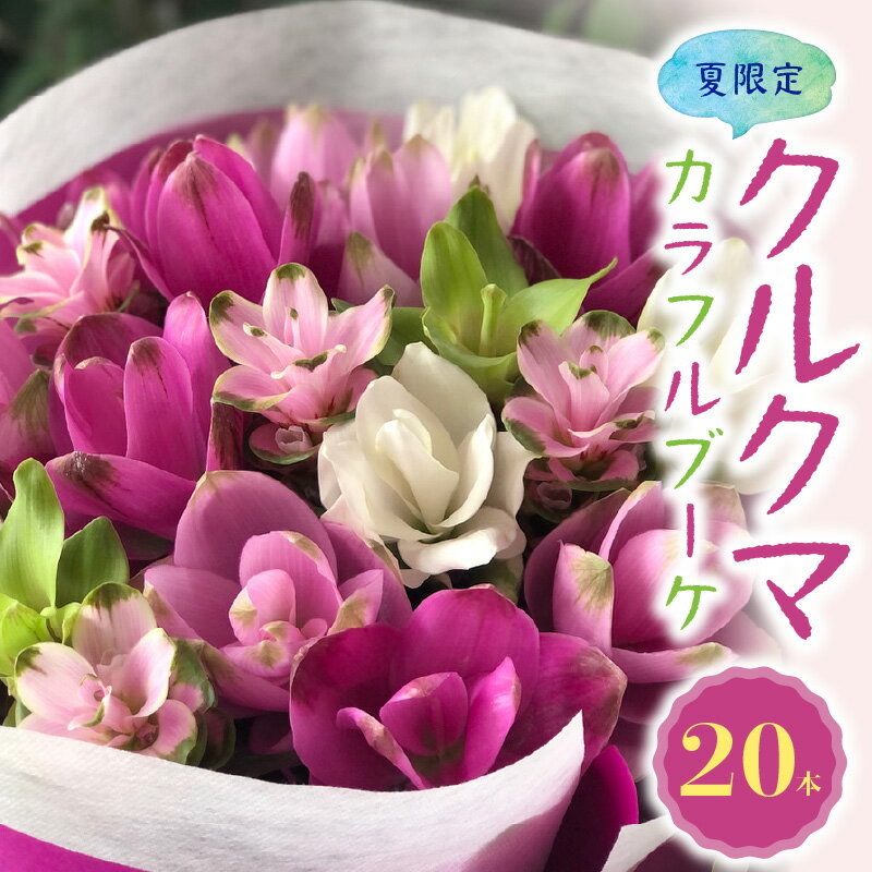 【ふるさと納税】花もち抜群！夏 限定 かわいい カラフル ブーケ クルクマの花束 20本 生花 花束 海外花 クルクマ 癒し 花 お取り寄せ ギフト プレゼント用 インテリア おしゃれ 愛知県 碧南市 送料無料