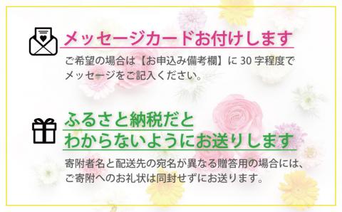 【お花の定期便12ヶ月】そのまま飾れる「スタンディングブーケ」（大）