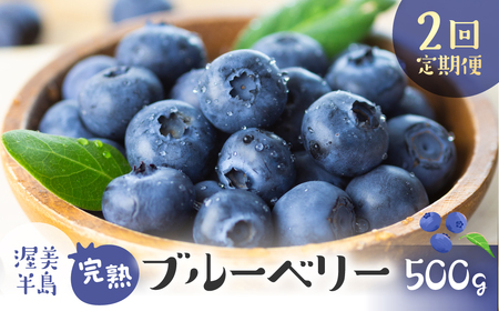 完熟　ブルーベリー　500g　2回定期便