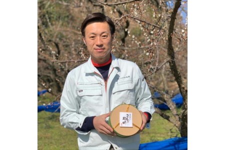 贈答 紀州南高梅 こんぶ風味梅木樽入り 1kg