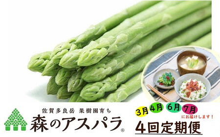 【令和7年3・4・6・7月発送】 採れたて直送！ 「森のアスパラ」 定期便 4回コース グリーンアスパラ 1.1kg 4回発送 アスパラガス アスパラ グリーンアスパラガス 定期便 佐賀県 太良町 R23