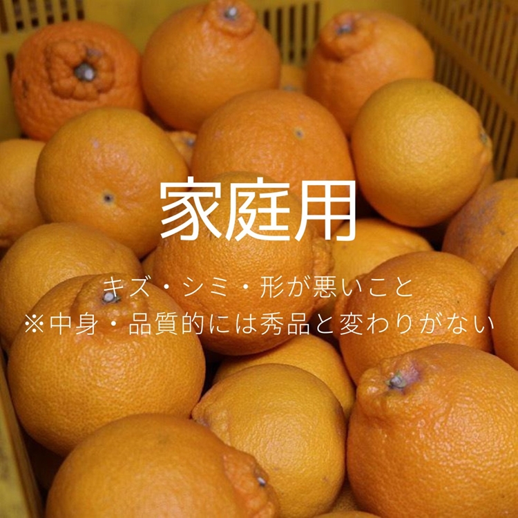 和歌山産　不知火 約3kg【家庭用】 ※2026年2月上旬～4月下旬頃より順次発送予定