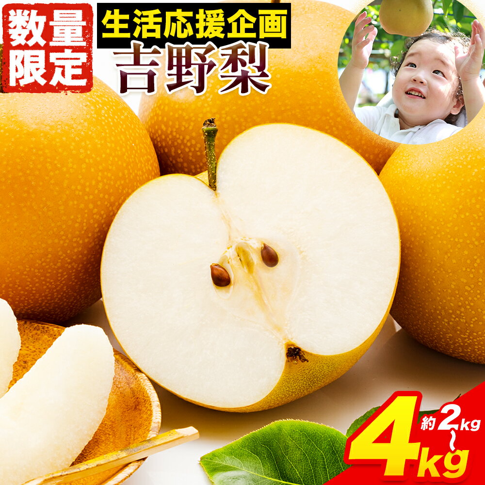 【ふるさと納税】梨 なし 熊本県産 吉野梨 旬の品種をお届け 約2kg 約3kg 約4kg(2〜16玉前後) 《8月上旬-9月末頃出荷予定》 梨 なし 旬の梨 豊水梨 あきづき梨 新高梨 新興梨 フルーツ 旬のフルーツ 熊本県産梨 梨ブランド nashi 梨 旬の梨 旬の品種お届け