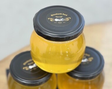 【みつばちROCK】上山産非加熱純正はちみつ　３００ｇ　0163-2502