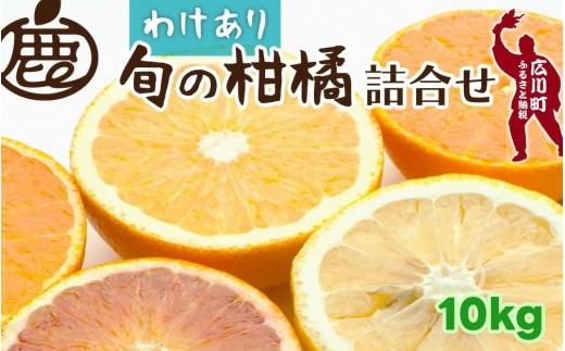 
                  柑橘 詰合せ 10kg+250g 訳あり 光センサー【ikd049-c-10B】
                