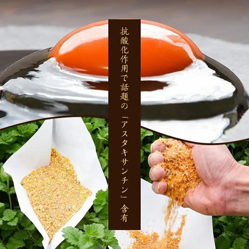 【2026年8月10日頃発送】卵 美幸卵 50個（割れ保証10個含む）※配送不可 沖縄・離島 たまご 玉子 山形 板垣養鶏場　013-G-BK006-08