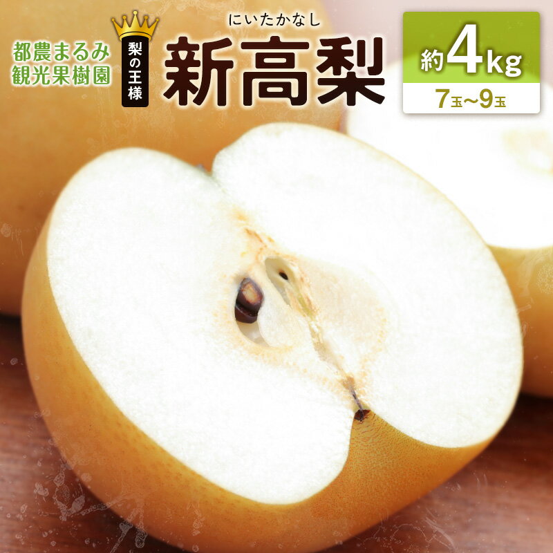 【ふるさと納税】新高梨（にいたかなし） 約4kg 7玉～9玉 天然ミネラル栽培 ナシ フルーツ 果物 くだもの 旬 宮崎県