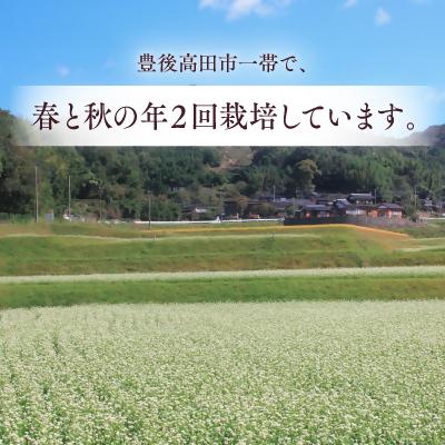 ふるさと納税 豊後高田市 そばの実ぜんざい 150g×3袋 |  | 03