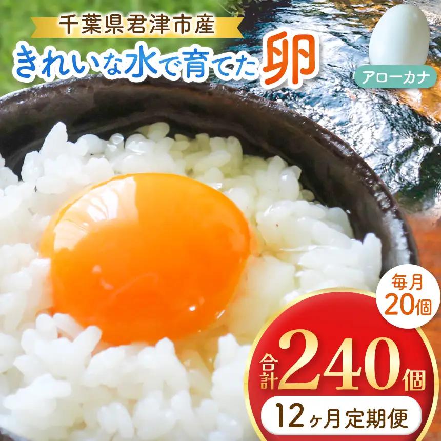 【12回定期便】きれいな水で育てた卵 アローカナ 20個
