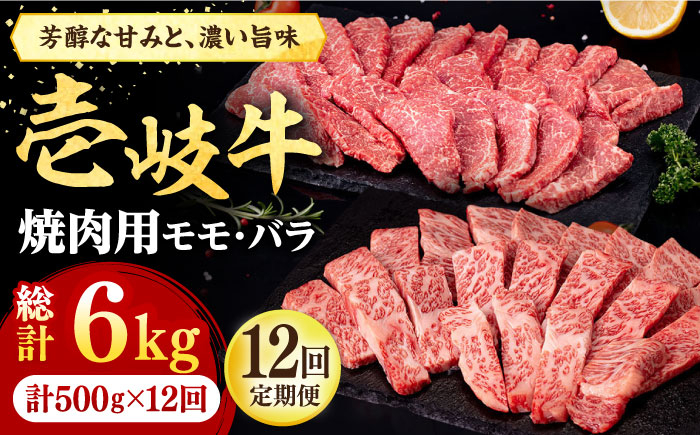 
            【全12回定期便】 壱岐牛 焼肉用 モモ・バラ（カルビ） 500g《壱岐市》【株式会社イチヤマ】[JFE082] 定期便  肉 牛肉 焼肉 焼き肉 モモ バラ カルビ BBQ 赤身   300000 300000円 30万円
          