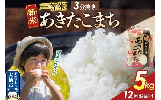 《新米》 《定期便12ヶ月》【3分搗き】あきたこまち 一等米 5kg 秋田県産 令和8年産 こまちライン 秋田県 大仙市産 [秋田 お米 米どころ あきたこまち こまちライン]