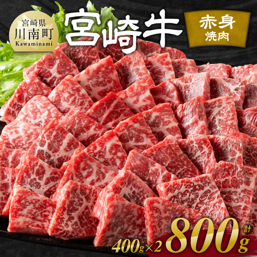 【ふるさと納税】※レビューキャンペーン※宮崎牛赤身焼肉 800g (400g×2) - 肉 牛肉 黒毛和牛 宮崎県産牛 九州産牛 国産牛 宮崎県産 九州産 国産 赤身 焼肉 ウデ モモ 送料無料 E11120