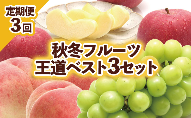 
【定期便3回】秋冬フルーツ王道ベスト３セット 【令和6年産先行予約】FU23-460
