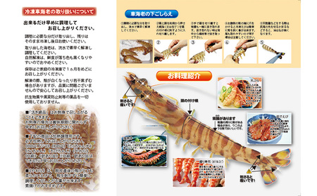【養殖場から直送】活き〆急速冷凍車えび　2Lサイズ　約1kg（28～32尾/500g×2P）