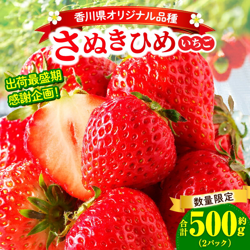 【ふるさと納税】【先行予約】【出荷最盛期・感謝企画】数量限定!!さぬきひめいちご　約500g | スイーツ いちご ストロベリー さぬきひめ 苺 冷蔵 フルーツ 旬 果物 青果 青果物 お裾分け ギフト 香川県 デザート 青果物 先行予約 季節限定 旬 おすすめ 三木町