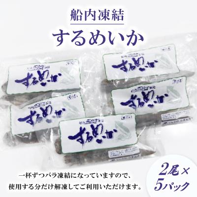 ふるさと納税 能登町 石川県産　船内凍結するめいか |  | 02