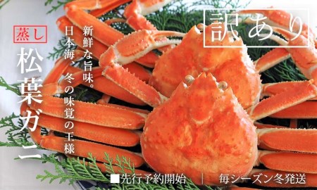 蒸し松葉ガニ 大2枚 ご自宅用 (1枚800～940g前後) ズワイガニ かに 訳あり TM4 0714