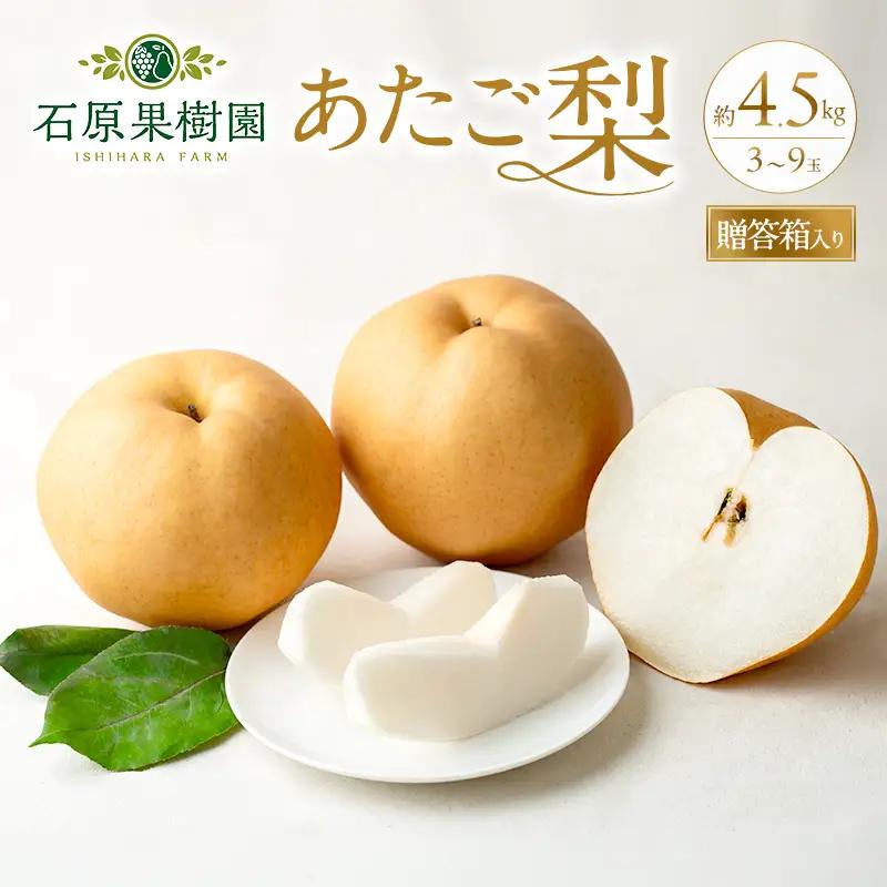 梨 2026年 先行予約 あたご梨 3～9玉 合計約4.5kg 贈答箱 岡山県産 梨