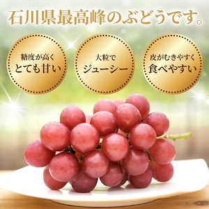 ルビーロマン 500g × 2房（2箱）【2027年収穫分】| ぶどう ぶどう 葡萄
